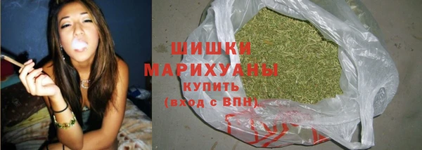 стафф Покачи