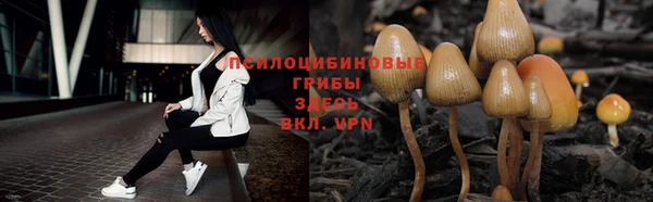 твердый Пестово