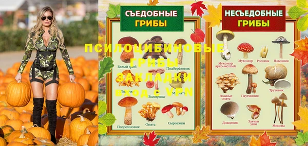 твердый Пестово