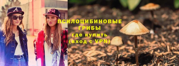 твердый Пестово