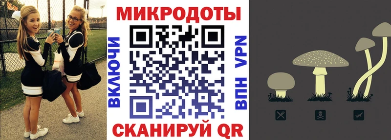 Галлюциногенные грибы мухоморы  Купить закладки  Малгобек 