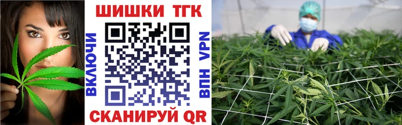 Бошки марихуана SATIVA & INDICA  Купить закладки  Малгобек 
